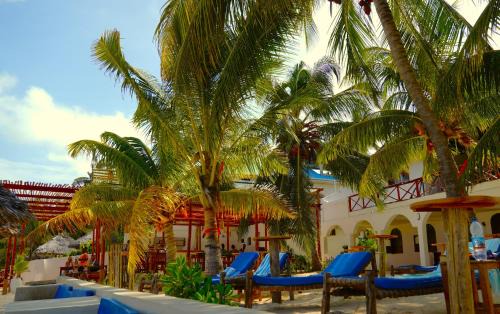 Jambiani Hotel | HA Beach Hotel Zanzibar