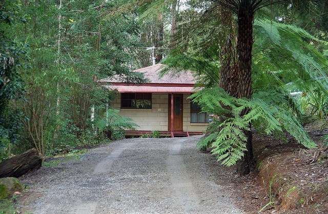 Brook Cottage. 7 Acre Rain Forest Paradise