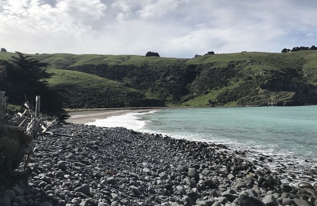 Gough's Bay Shearers' Cottage, Banks Peninsula
