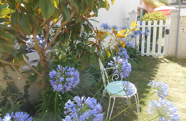 3 minutes walk from the beach, lovely studio with garden climate