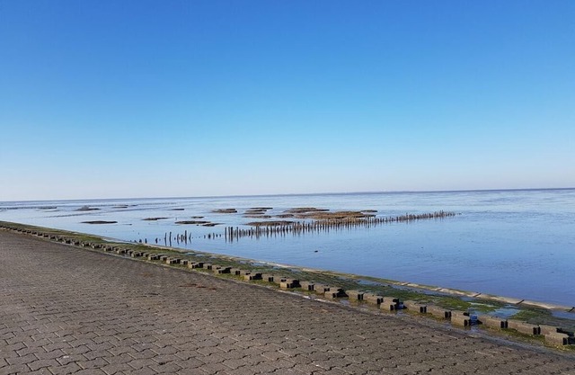 Anke – Ferienhof Thies