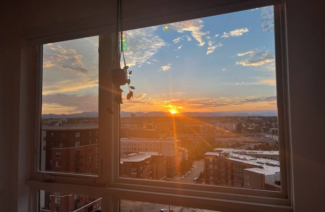 Zen Loft With Mountain Views in Downtown Denver