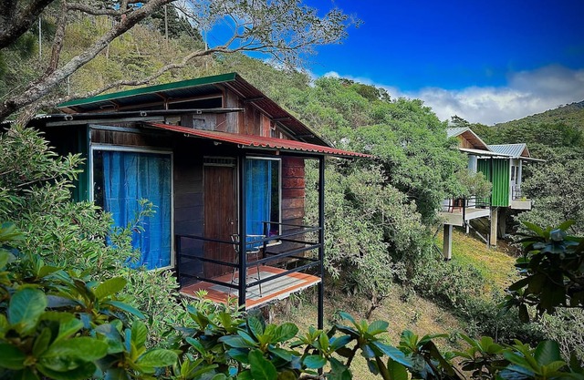 Escape to our cozy cabins nestled in Monteverde Cloud Forest.