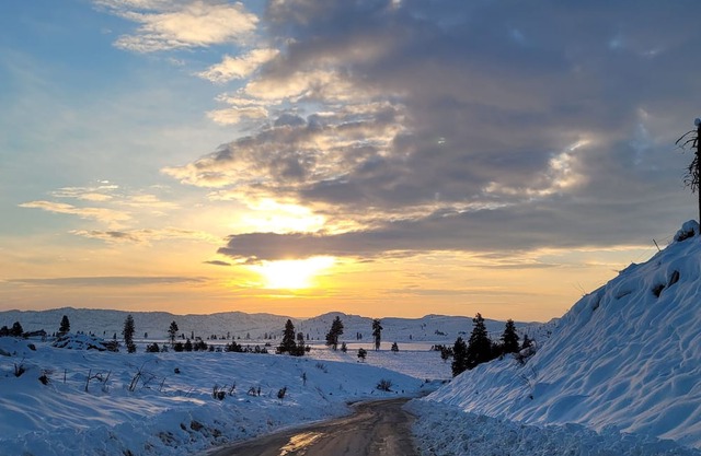 Cabin retreat outside of Omak! Hunter's dream and offroad enthusiasts paradise!