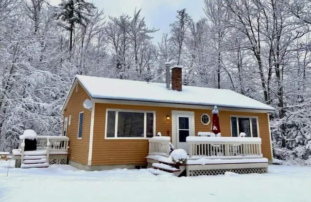 New! Toad Hill Hideaway Mountainside Cabin