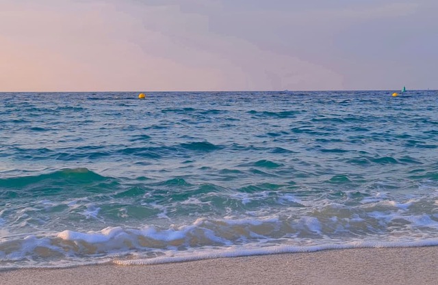 VIEW RENTALS ✧ apartment in Port de la Mer, Dubai