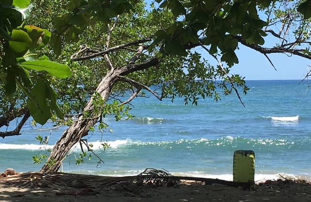 You imagine Costa Rica? Our location being on the beach is what You imagine:)