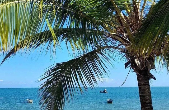 Apartamento Para Aluguel de Temporada em Porto Seguro
