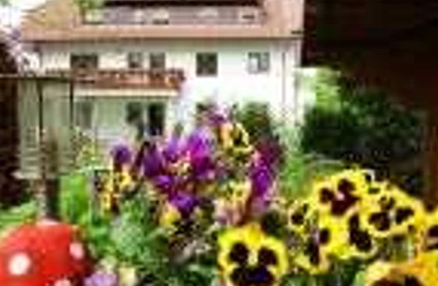 Ferieninsel an der dreisam - new room