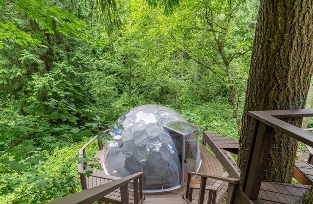 Crystal Dome · Private Glamping Dome w/Hot Tub, Sauna & Panoramic View