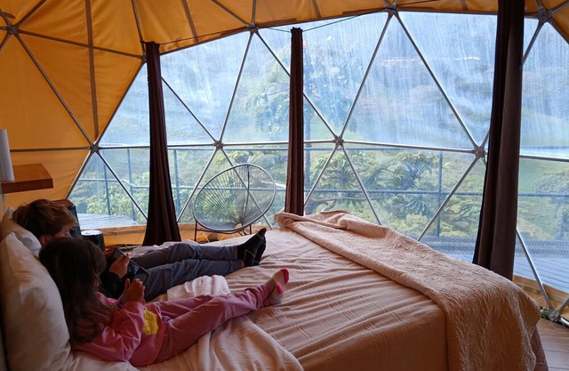 Eco Forest dome