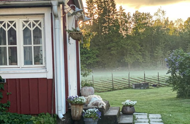 Tranquil 3-bedroom house for a peaceful getaway with sauna and jacuzzi.