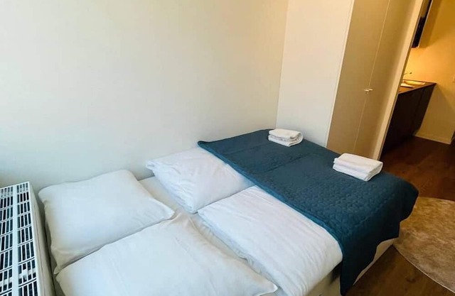 Copenhagen Studio with Double Bed and Kitchen 3