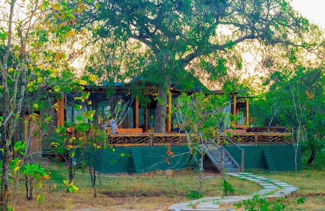 Daga Camp - Amazing bed & breakfast with AC in Mikumi