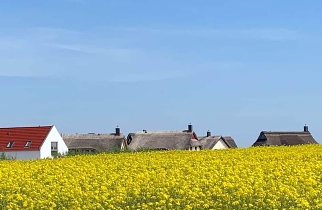 1-bedroom holiday home