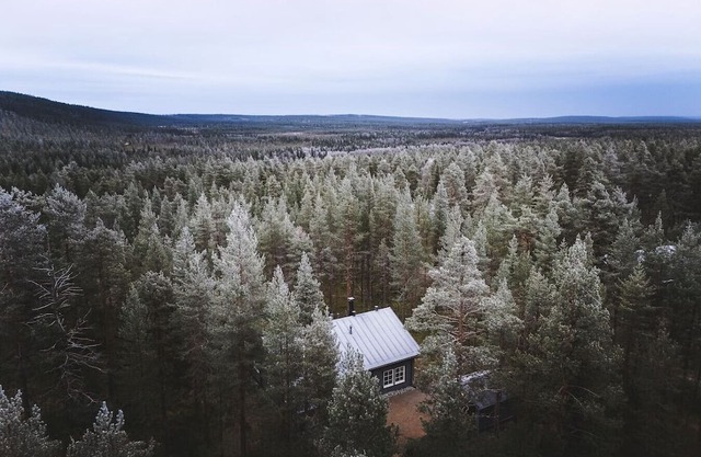 Stay North - Sinlevi