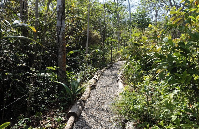 4-bedroom beachfront paradise in Palenque with AC, pool, walking trail and more!